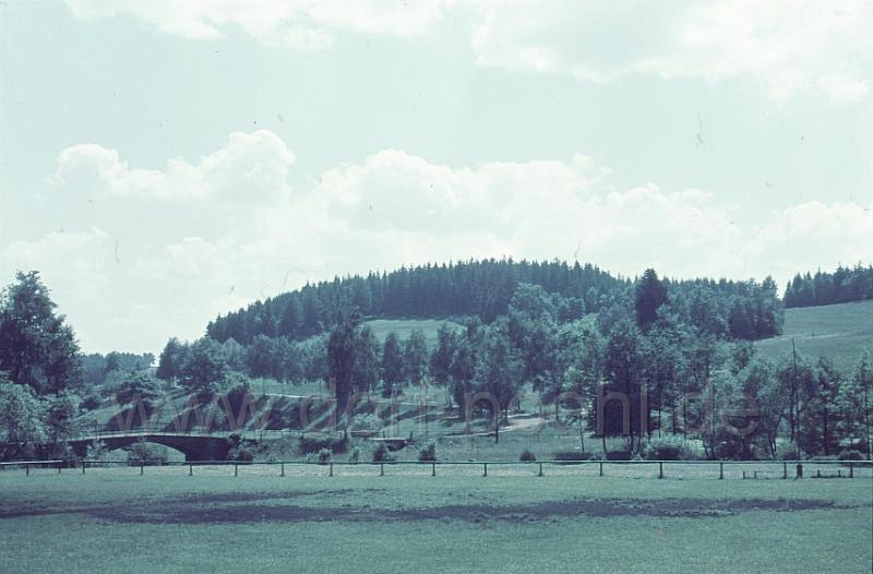 001 (12).jpg - Ansicht vom Sportplatz in Richtung Möschwitz. In der Mitte des Bildes steht heute oben am Waldrand der Rettungsturm der Wasserwacht.